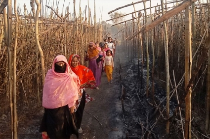 স্বপ্নের পানের বরজ আগুনে পুড়ে ছাই, কাঁদছেন চাষিরা 