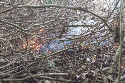 কাজ শুরু করতে পারেনি ফায়ার সার্ভিস, রাতভর পুড়বে সুন্দরবন