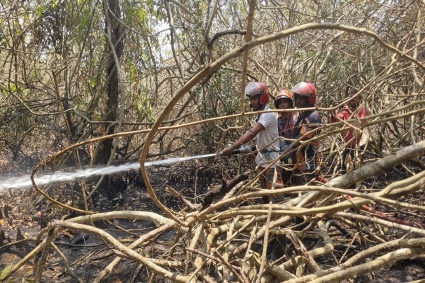 পানি ও আলো স্বল্পতায় সন্ধ্যায় বন্ধ হয়ে গেছে আগুন নেভানোর কাজ