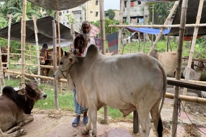 রাজধানীতে আসছে কোরবানির পশু, দাম বেশি হওয়ার শঙ্কা