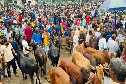 জরিমানা করলেও থামছে না হাসিল আদায়ে নৈরাজ্য