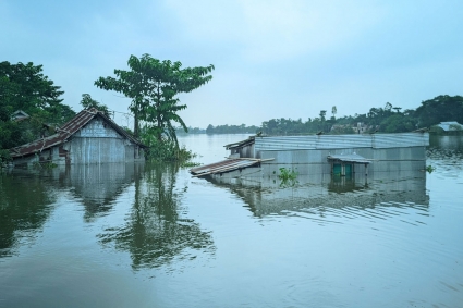  সুনামগঞ্জে বন্যার পানিতে কৃষকের ৪৪ কোটির ক্ষতি